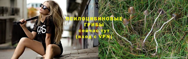 дживик Волосово