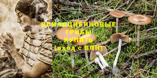 сатива Володарск