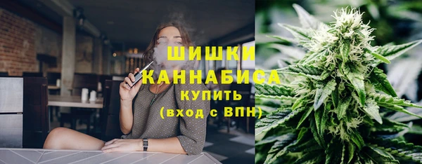 сатива Володарск