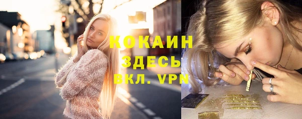 сатива Володарск