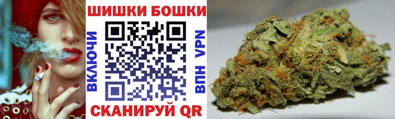 Купить закладки  Снежногорск  Шишки марихуана семена 